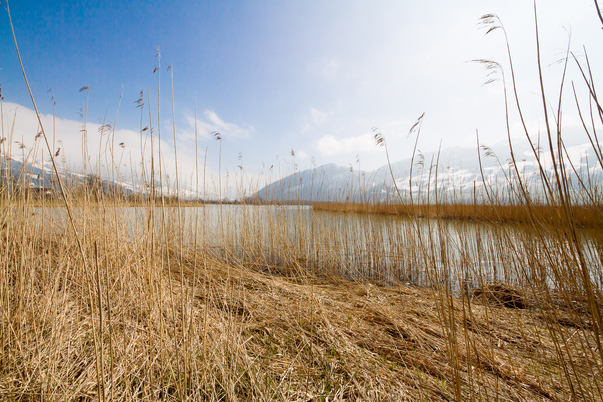 Portfolio_gross-1003