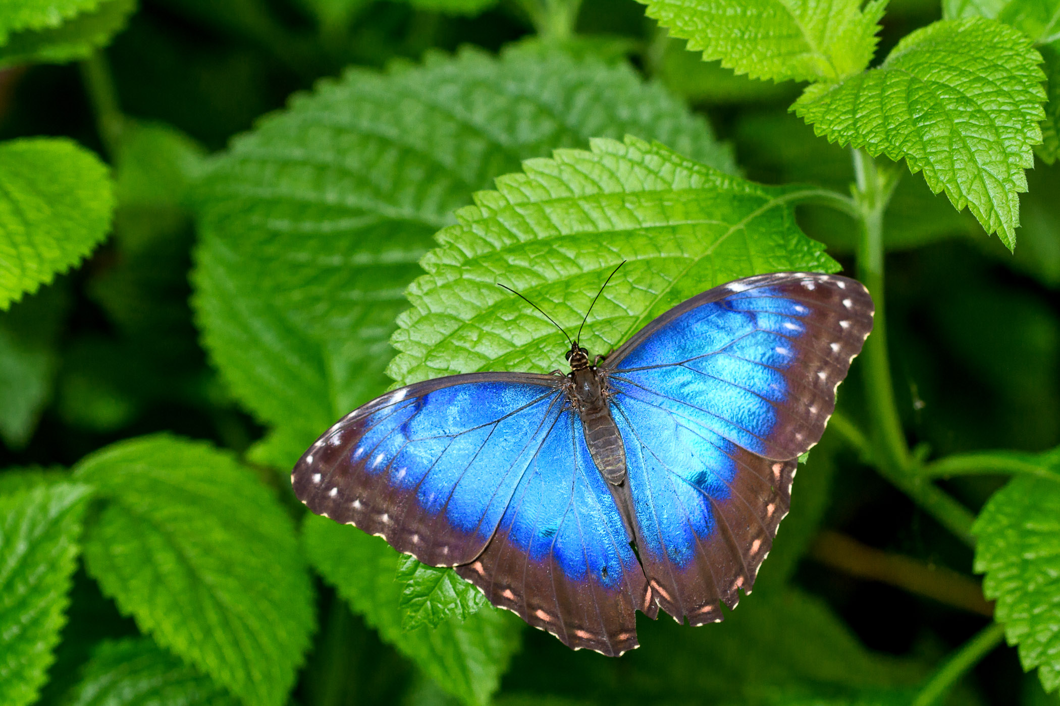 Portfolio_gross-1004