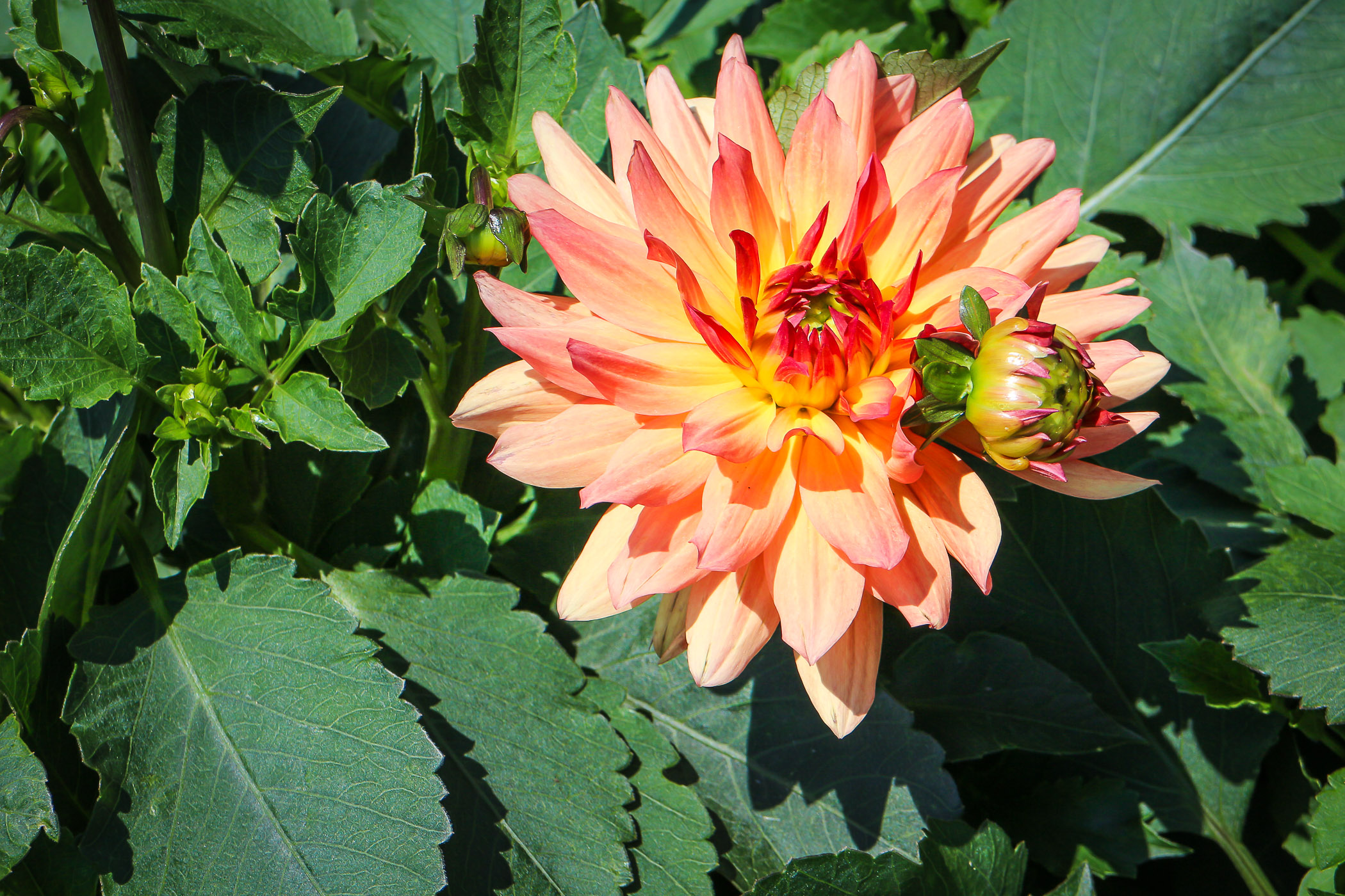 Portfolio_gross-1005